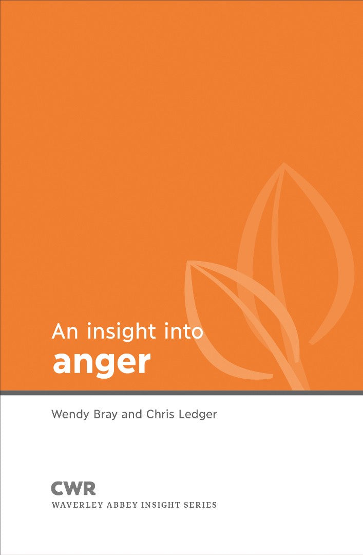 Insight into Anger