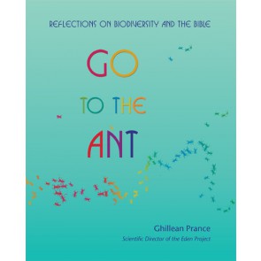 Go To The Ant