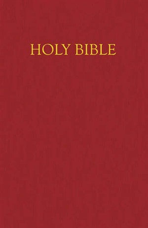 Children's New Revised Standard Version Bible