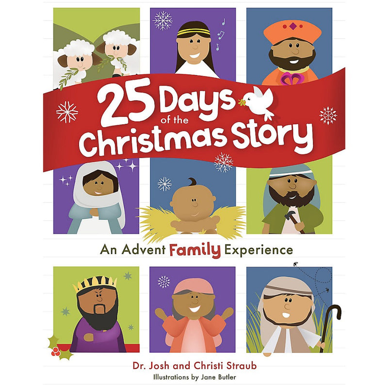 25 Days of the Christmas Story