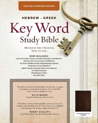 ESV Hebrew-Greek Key Word Study Bible, Brown