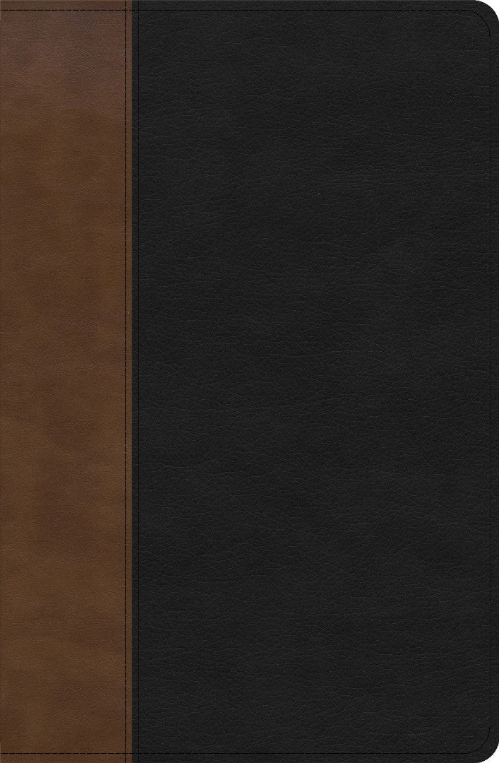 KJV Personal Size Giant Print Bible, Black/Brown