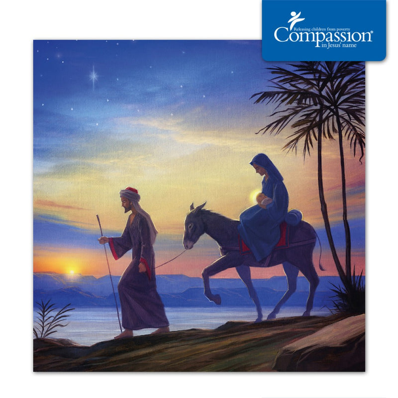 Compassion Charity Christmas Cards: Flight/Egypt (Pack Of 10