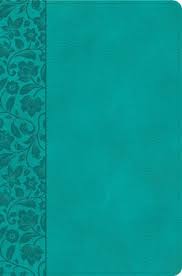 KJV Giant Print Reference Bible, Teal Leathertouch