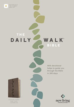 NLT Daily Walk Bible (Stepping Stones Dark Taupe)