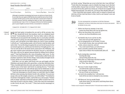 ESV Chronological Bible (Trutone, Paris Sky, Fleur-De-Lis)