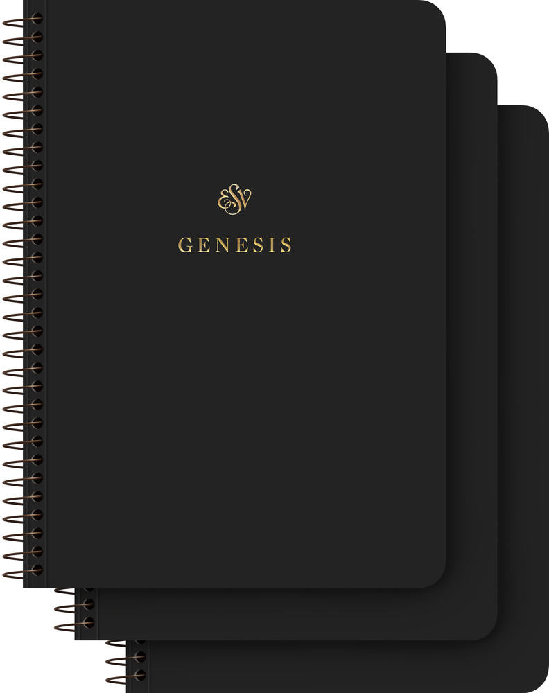 ESV Scripture Journal - Old Testament Set