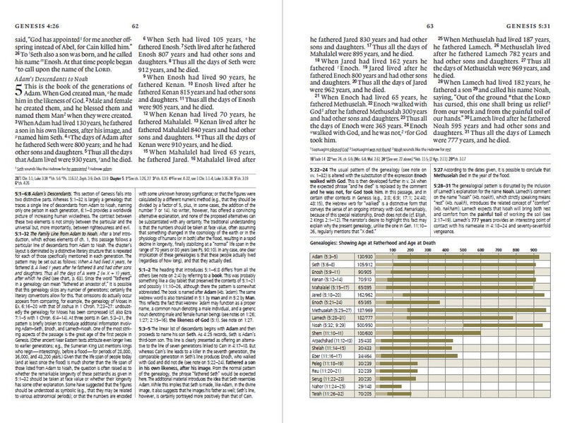 ESV Study Bible  (Trutone, Olive, Branch Design)