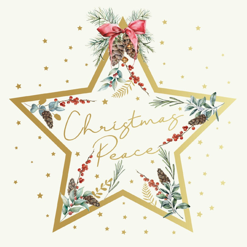 Tearfund - Christmas Star - Pack Of 10