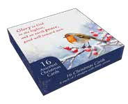 Christmas Boxed Cards: Winter Birds (Pack Of 16)