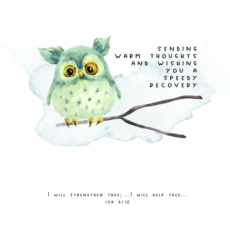 Get Well Wishes Owls - Greeting Card