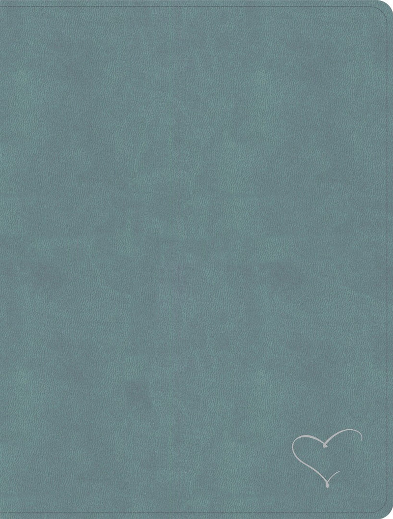 CSB Notetaking Bible, Large Print, Teal