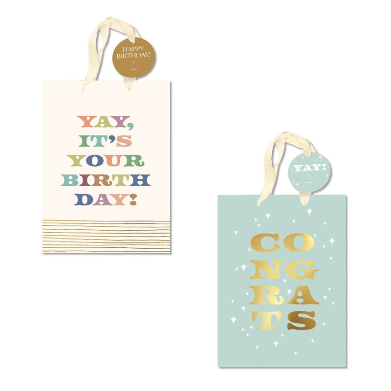 Bless and Celebrate Medium Gift Bag (pack of 2)