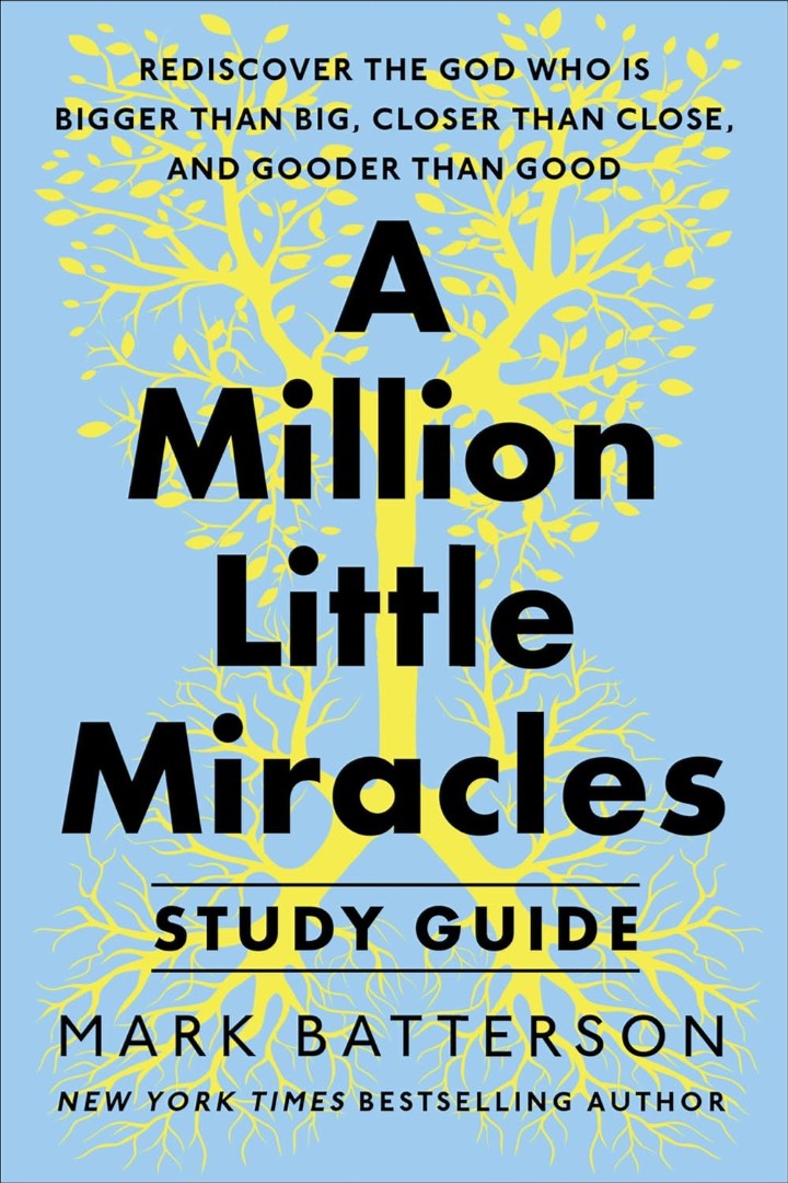 A Million Little Miracles Workbook