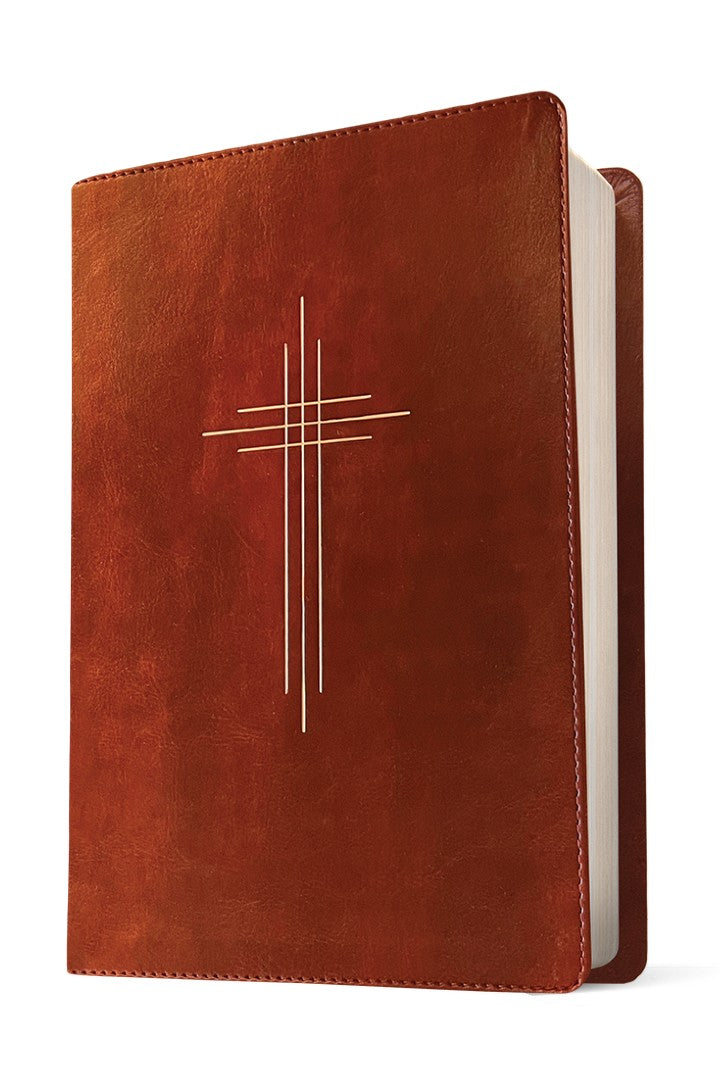 The Message Deluxe Gift Bible, Dark Brown Gold