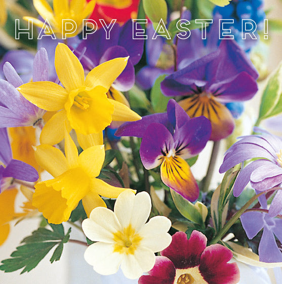 Easter Card - Daffodils  And Pansies (Pack Of 5)