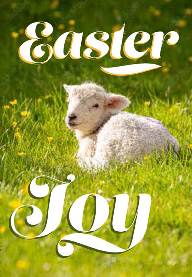 Compassion Charity Easter Cards - Lamb/Easter Joy (5 Pack)