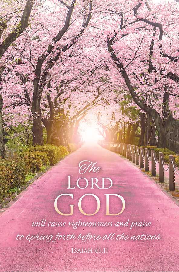 God Will Cause Righteousness Spring Bulletin (pack of 100)