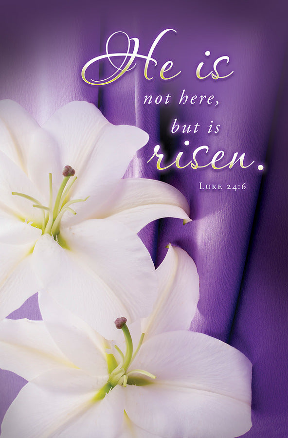 He is Not Here Easter Bulletin (pack of 100)