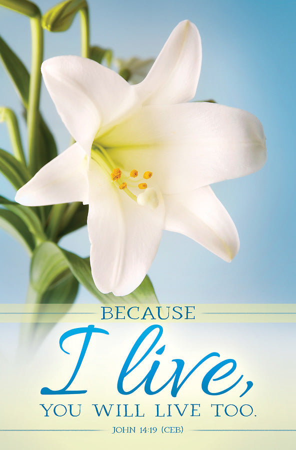 Because I Live Easter Bulletin (pack of 100)