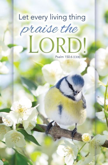 Spring Praise the Lord Bulletin (pack of 100)