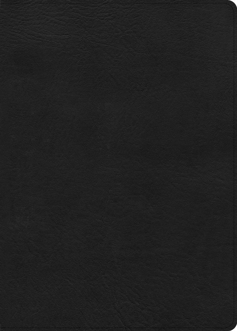 CSB Study Bible, Large Print Edition, Black Leathertouch