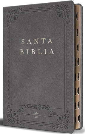 Biblia Rvr 1960 Letra Grande Tamaño Manual