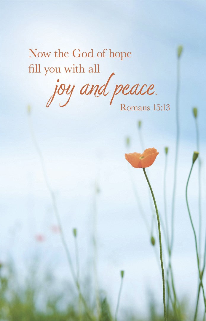 General Worship Bulletin: All Joy (pack of 100)