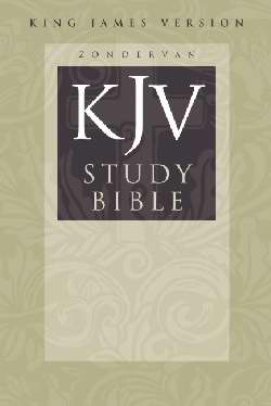 KJV Zondervan Study Bible, Large Print, Burgundy