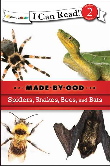 Spiders, Snakes, Bees, And Bats