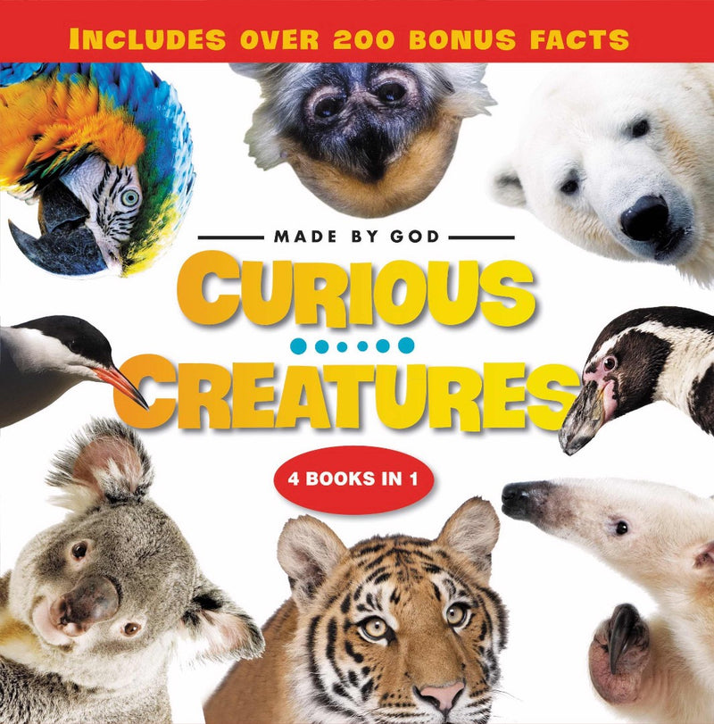 Curious Creatures