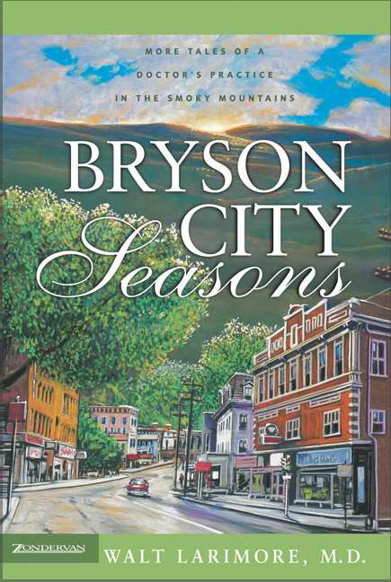 Bryson City Seasons