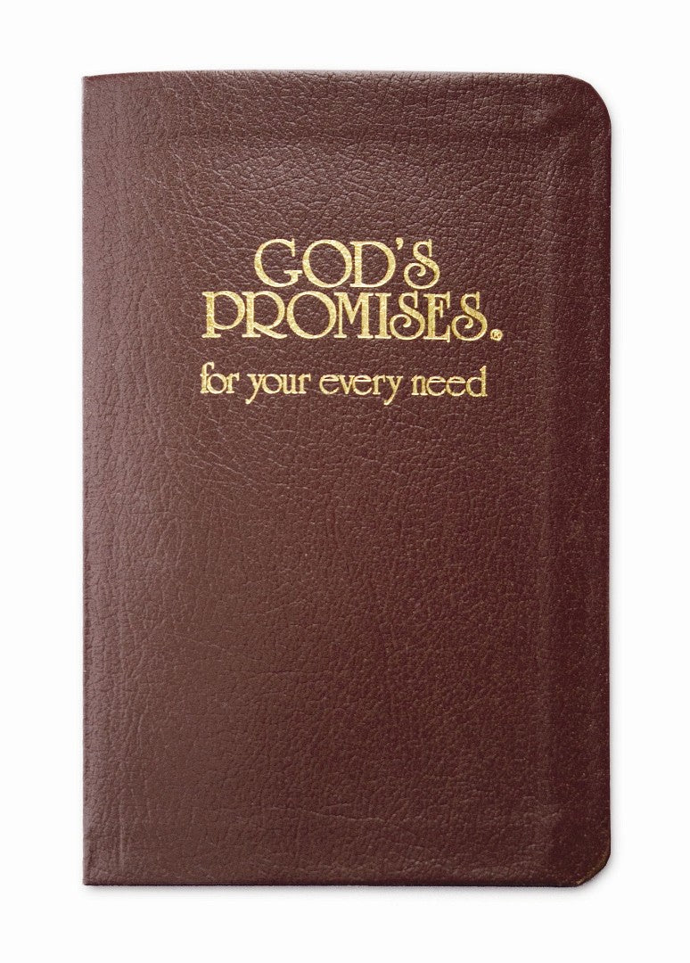 God's Promises For Your Every Need