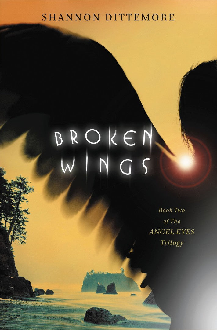 Broken Wings