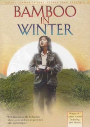 Bamboo In Winter DVD