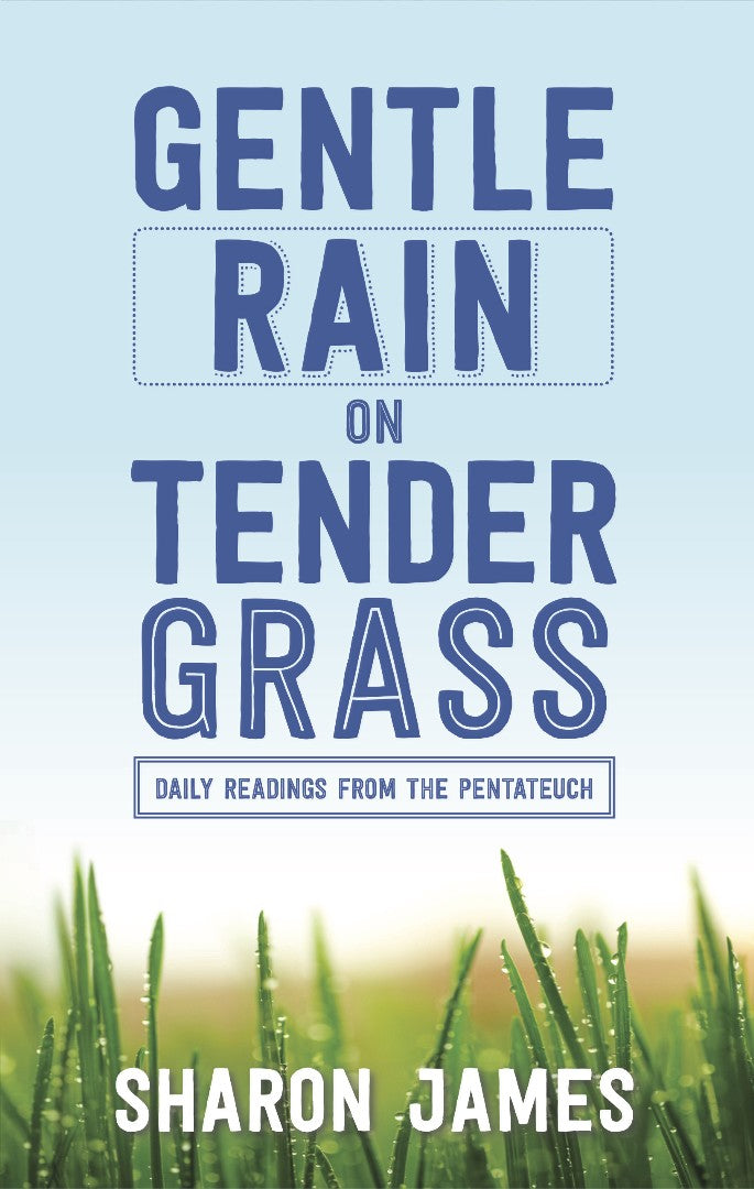 Gentle Rain On Tender Grass