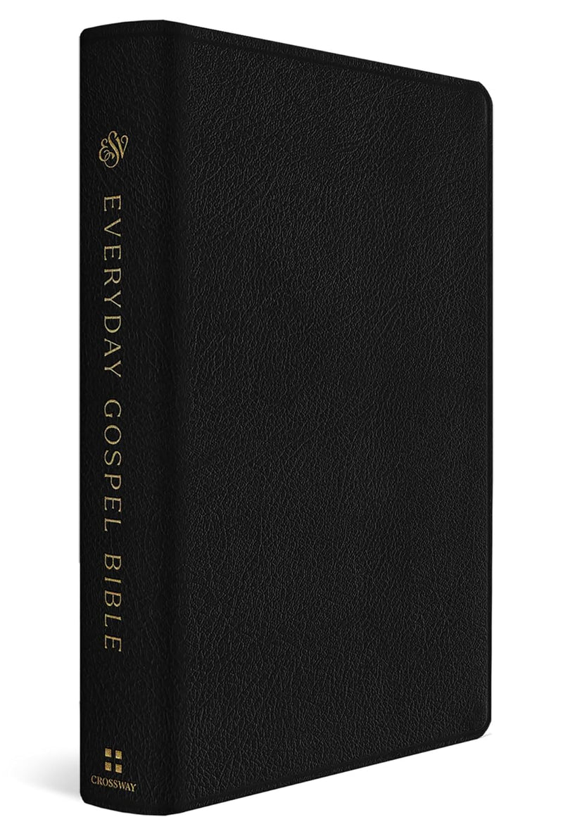 ESV Everyday Gospel Bible