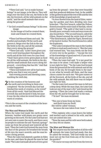 NLT Large Print Thinline Reference Bible, Filament Edition - Re-vived