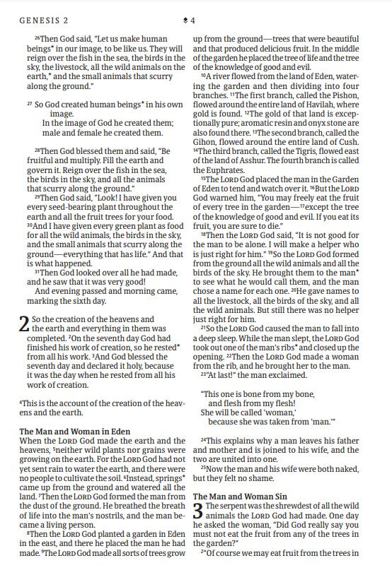 NLT Large Print Thinline Reference Bible, Filament Edition - Re-vived