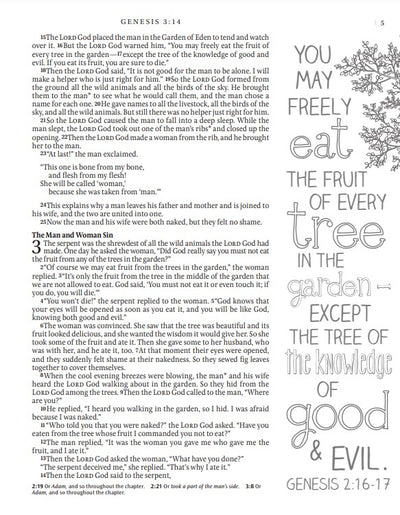 NLT Inspire Catholic Bible Large Print, Pink Fields - Re-vived
