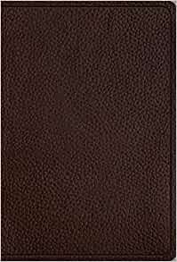 ESV Women's Study Bible (British Tan)