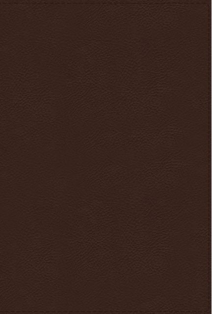 NRSVue Holy Bible with Apocrypha Leathersoft, Brown