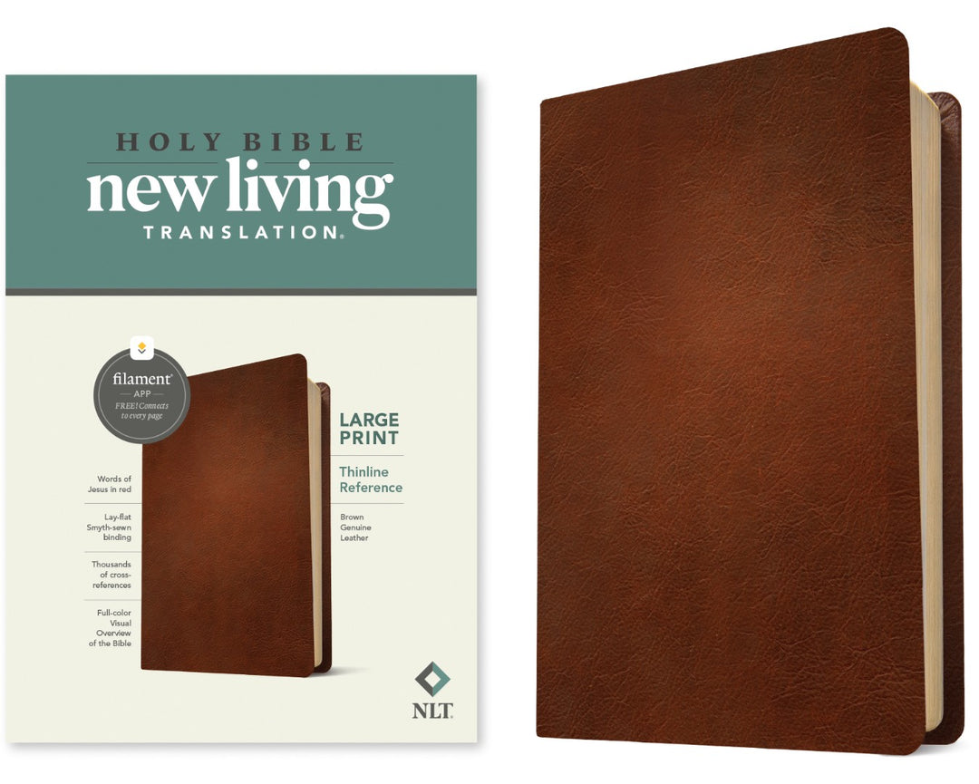 NLT Large Print Thinline Reference Bible, Filament Edition