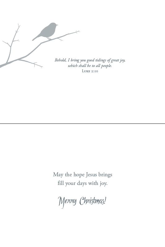 Christmas Birds Boxed Christmas Cards (Box of 12)