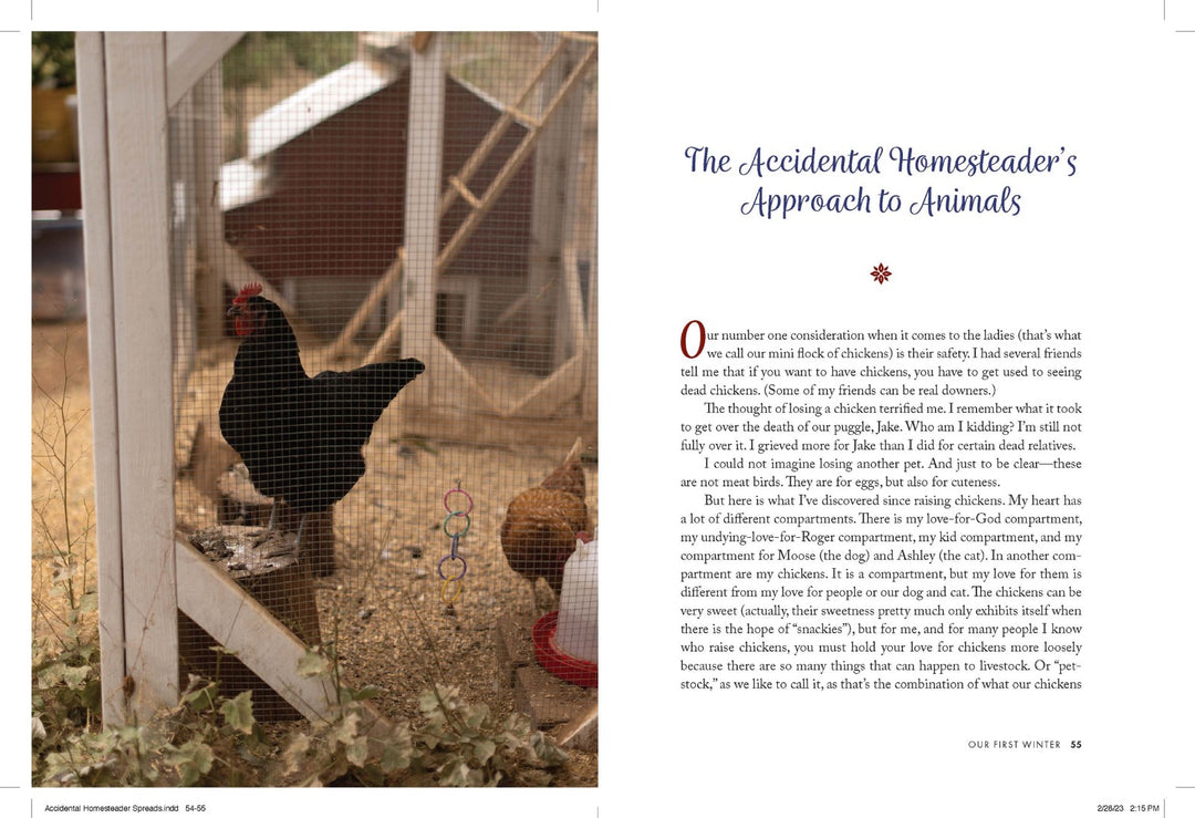 The Accidental Homesteader