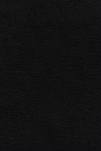 KJV Thompson Chain-Reference Bible, Handy-Size, Black