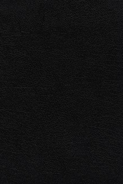 KJV Thompson Chain-Reference Bible, Black, Indexed