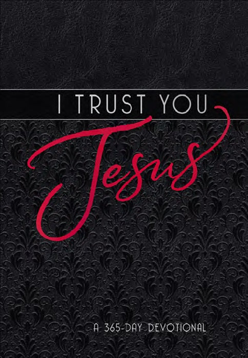 I Trust You Jesus