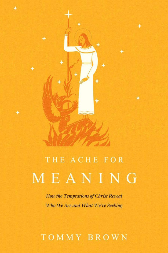 The Ache For Meaning