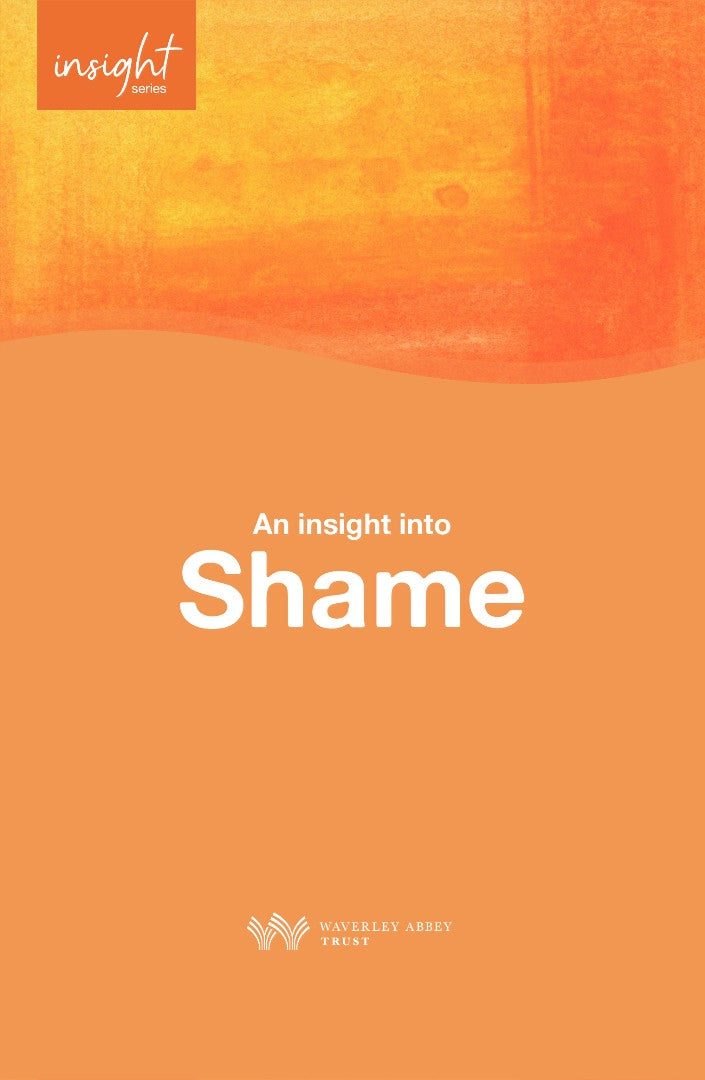 Insight into Shame